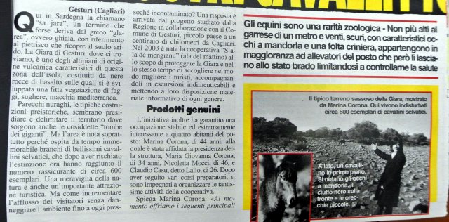 SARDEGNA2007cavallinidellagiara1